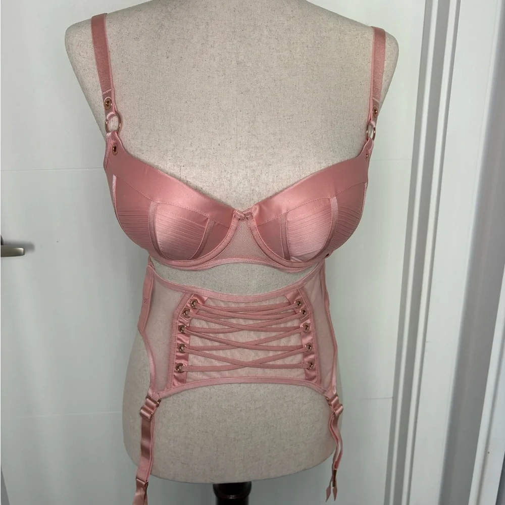 Honey Birdette Jerry Bra, Brief, and garter Blush Pink Bra Full Set - Picture 5 of 12
